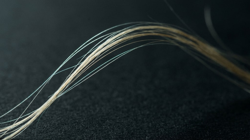 A single hair strand lifted away from a dark background, its edge caught in soft light